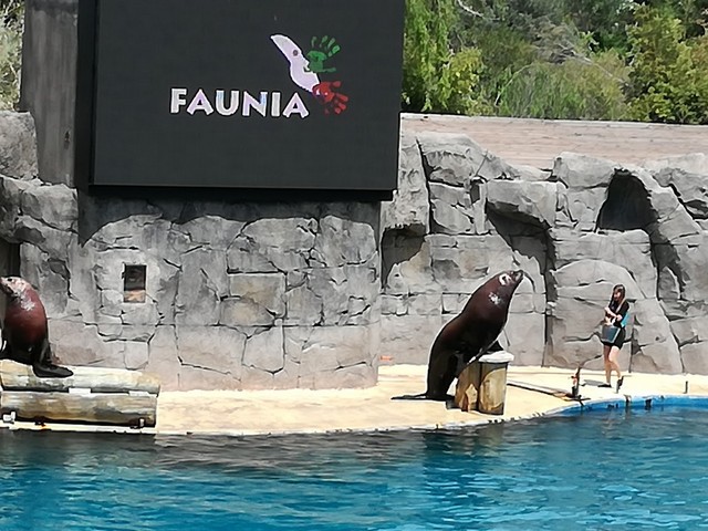 Faunia Zoo Madrid