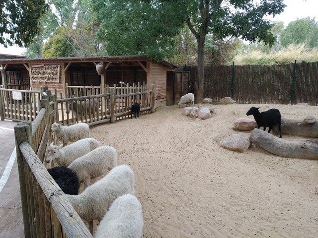 Faunia Zoo in Madrid