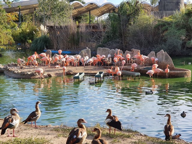 Faunia Zoo Madrid