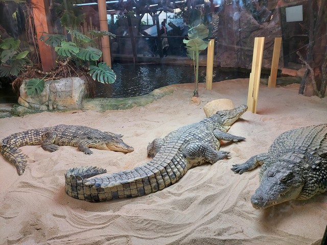 Faunia Zoo Madrid