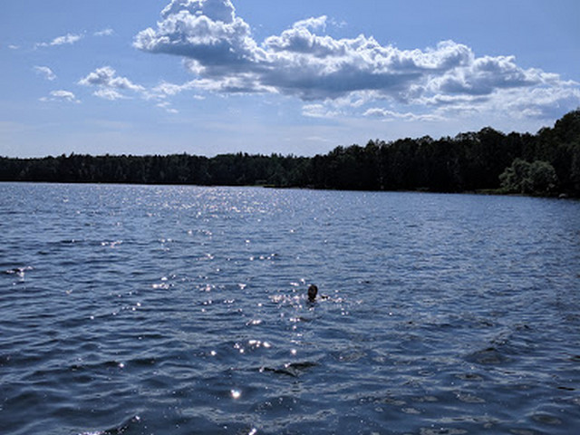 Flatenbadet Beach Stockholm