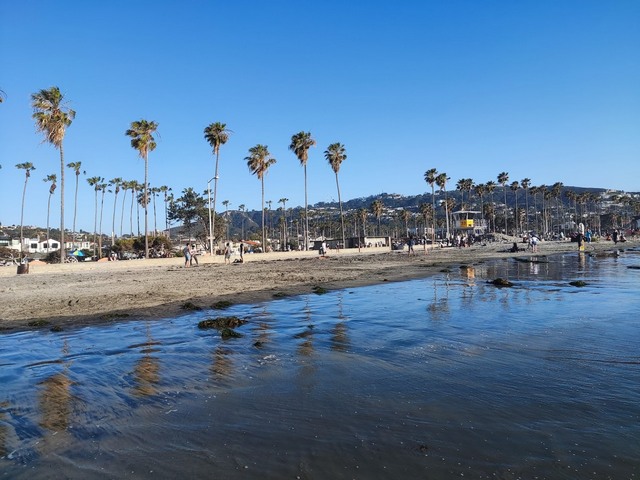 beaches in San Diego - best surfing beaches in san diego - famous beaches in san diego california
