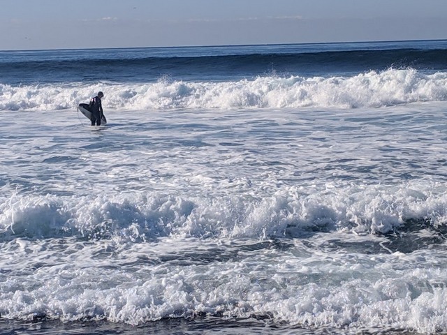 La Jolla Tide Pools Beach San Diego