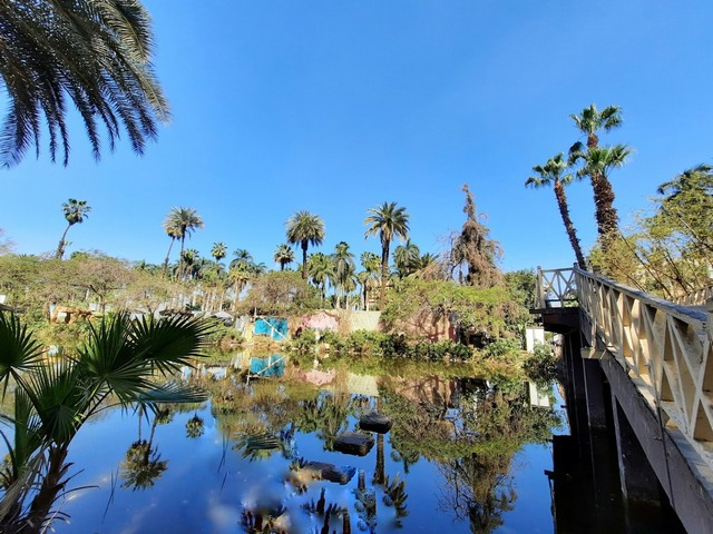 top things to do in Cairo