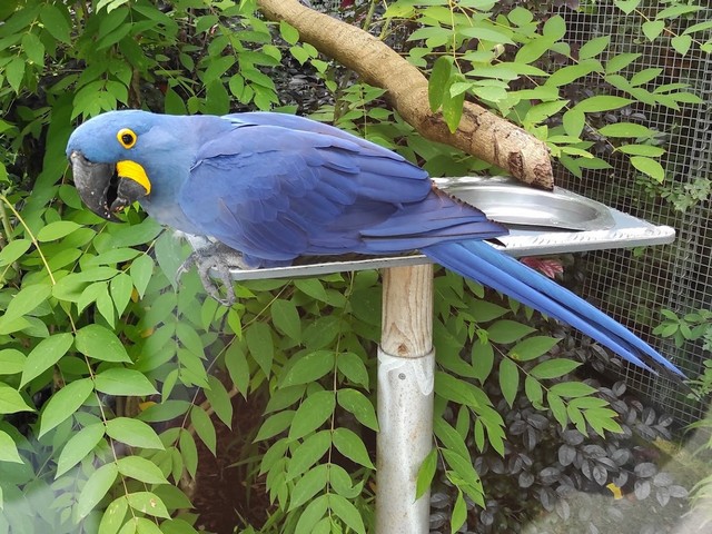 Paris Zoo