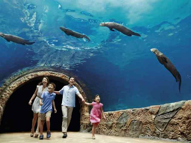 River Safari