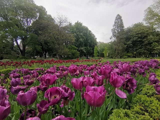 Royal Botanic Garden Madrid