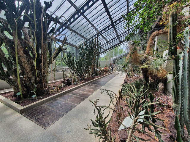 Royal Botanic Garden Madrid