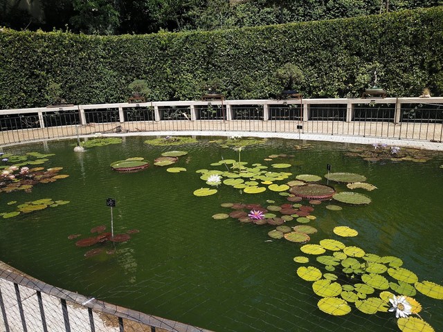 Royal Botanic Garden Madrid