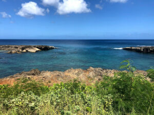 Shark’s Cove - top attractions in Hawaii