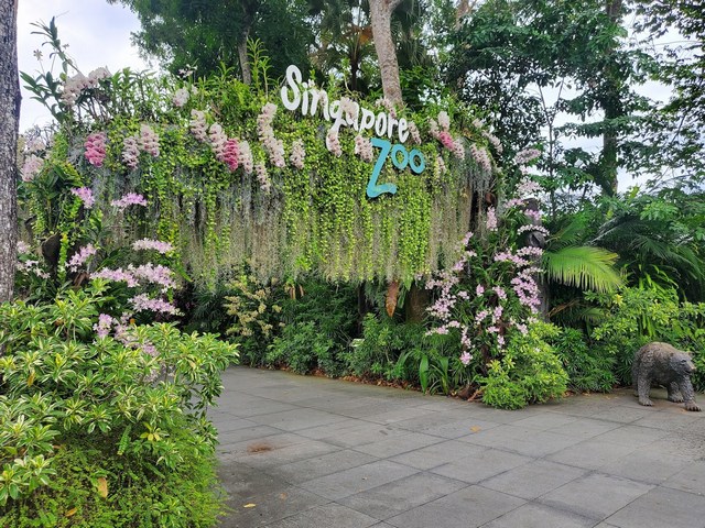 tourist attractions in Singapore for family