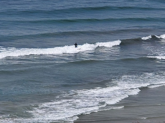 Torrey Pines State Beach San Diego