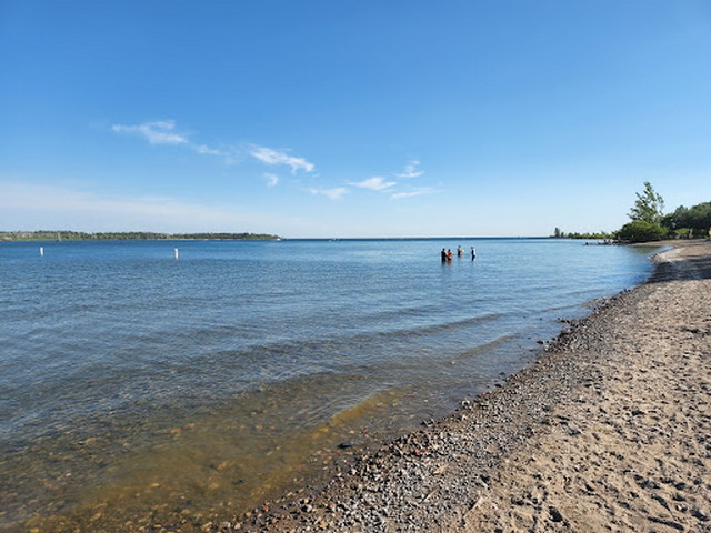 beaches in toronto for swimming
