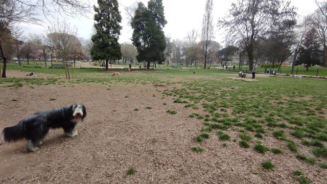 Alessandrina Ravizza park