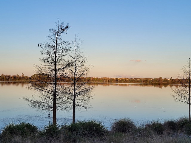 Blue Jacket Park