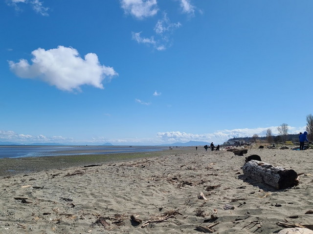 Centennial Beach Vancouver