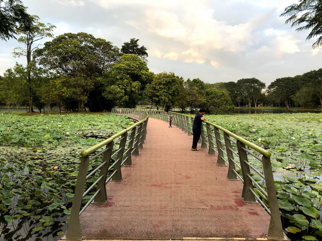 Taman Tasik Cyberjaya Selangor