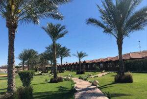 Hala Beach Sharm el Sheikh