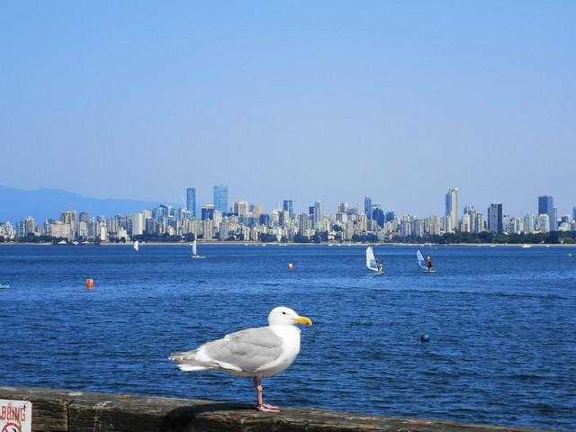 top beaches in Vancouver - nice beaches in Vancouver - best beaches in Vancouver for swimming