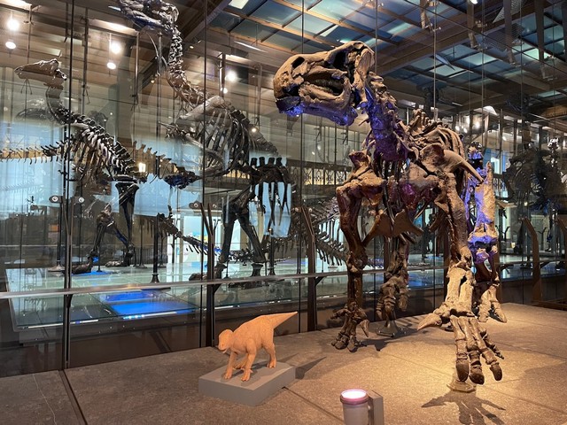 best museums in Brussels