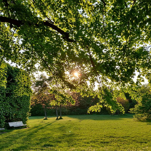 North Milan park