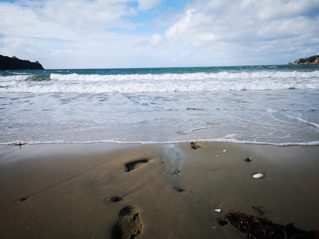 beaches in Auckland