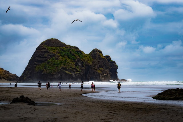 Piha Beach