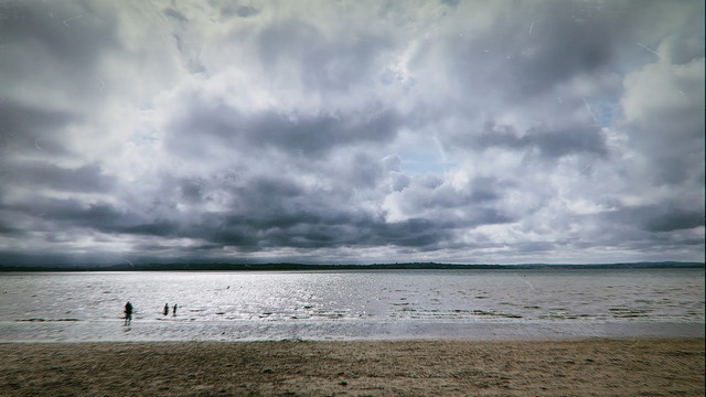Point Chevalier Beach