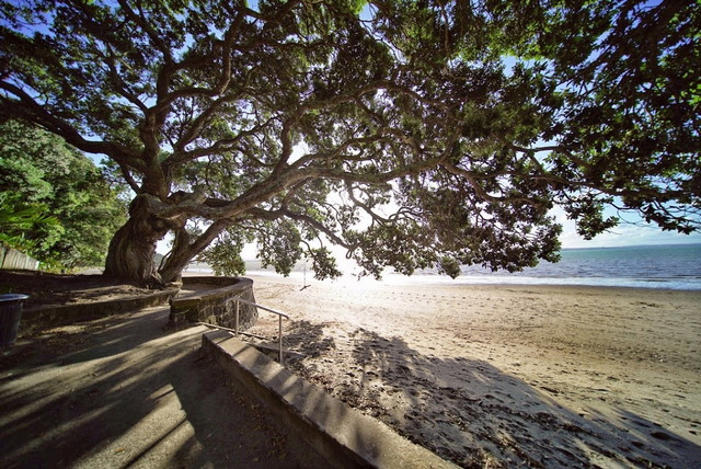 Auckland beaches