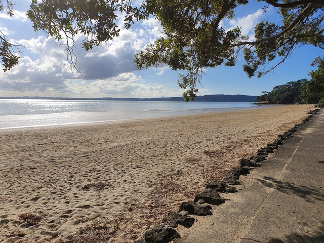 Point Chevalier Beach