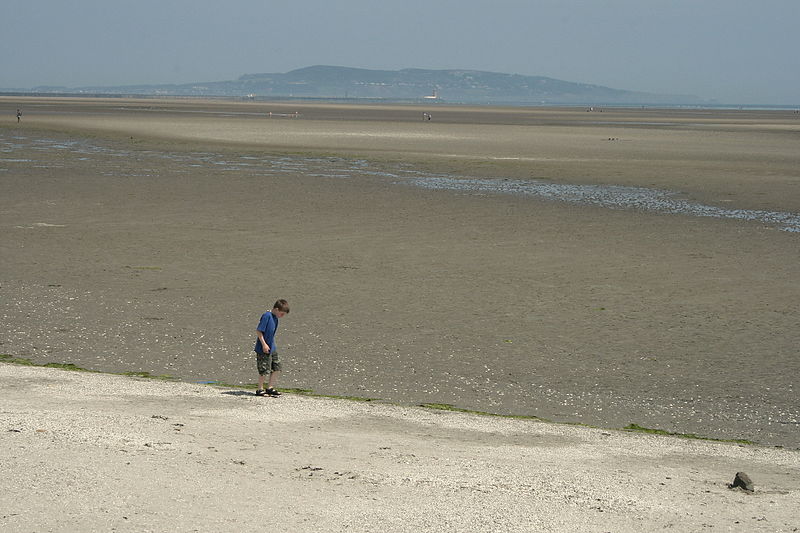 Dublin beaches