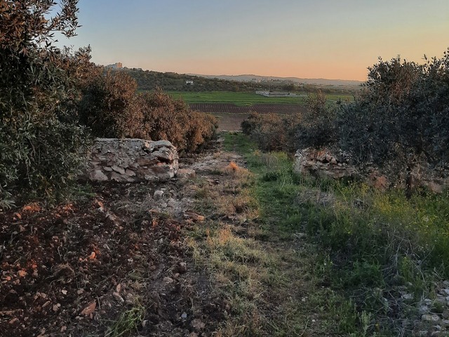 مناطق سياحية في اربد