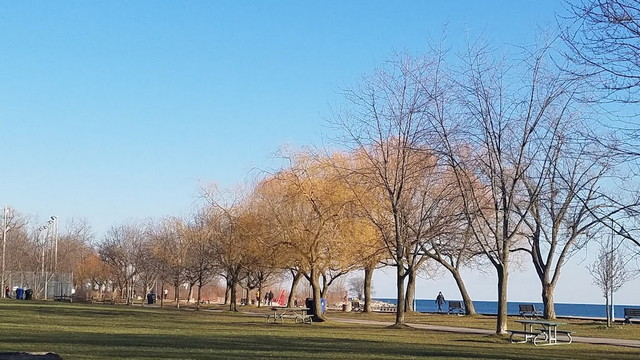Woodbine Beach Park