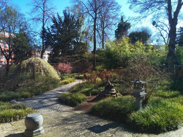 BethmannPark Frankfurt