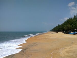 things to do in Kerala at night