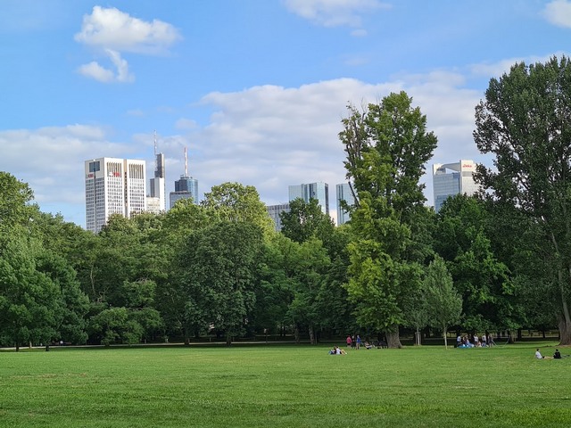 things to do in Frankfurt with family