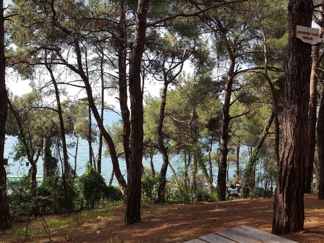 Heybeliada Island Istanbul