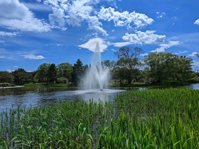 Jarry Park Montreal