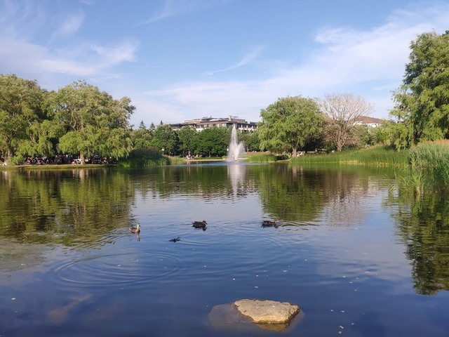 things to do in Montreal Canada