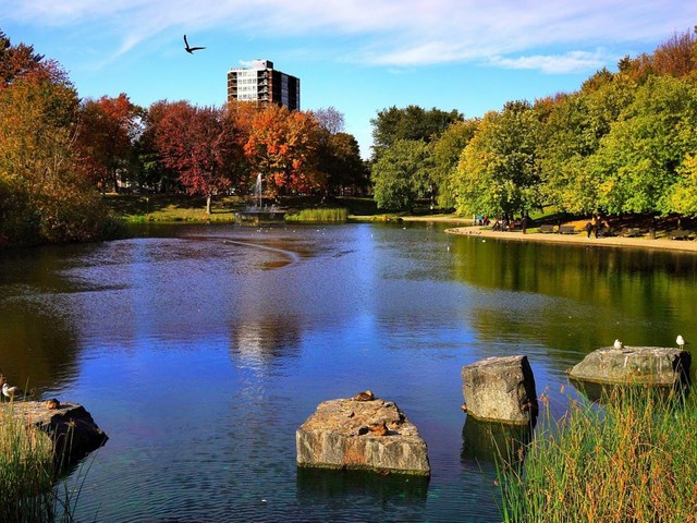 top things to do in Montreal Canada