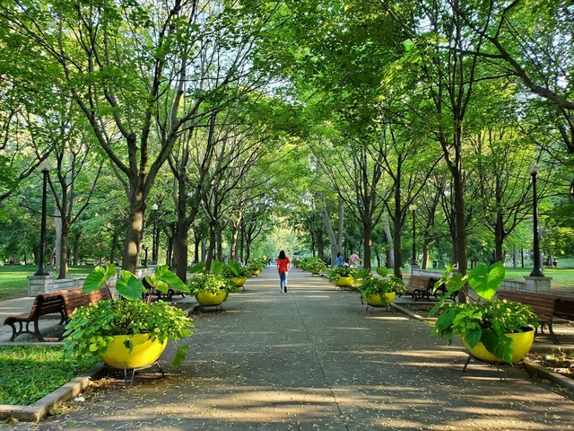 La Fontaine Park Montreal