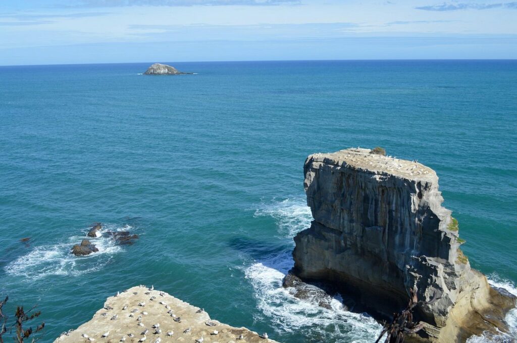 best beaches in Auckland