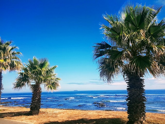 Cape Town beaches