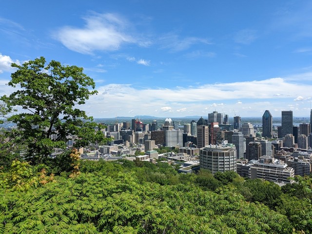 Mount Royal Park Montreal