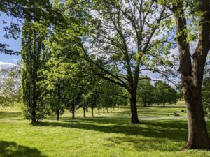 RebstockPark