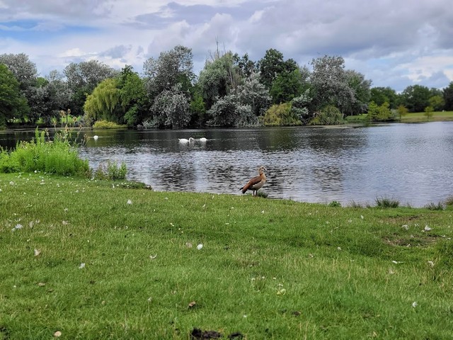 RebstockPark Frankfurt