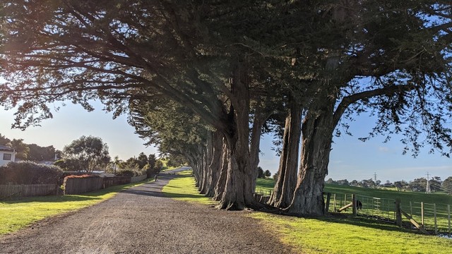 Totara Park