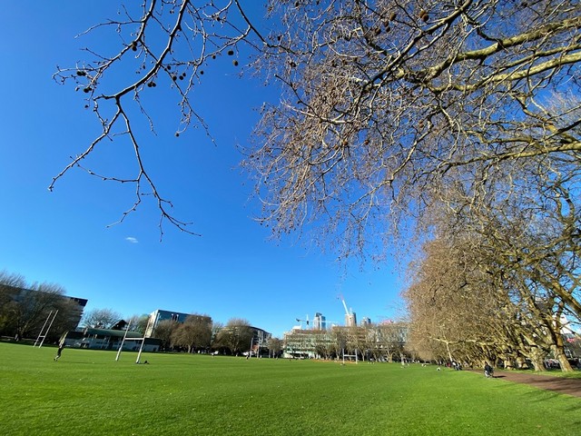 Victoria Park Auckland