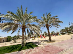 Ain Najim Park Al Ahsa