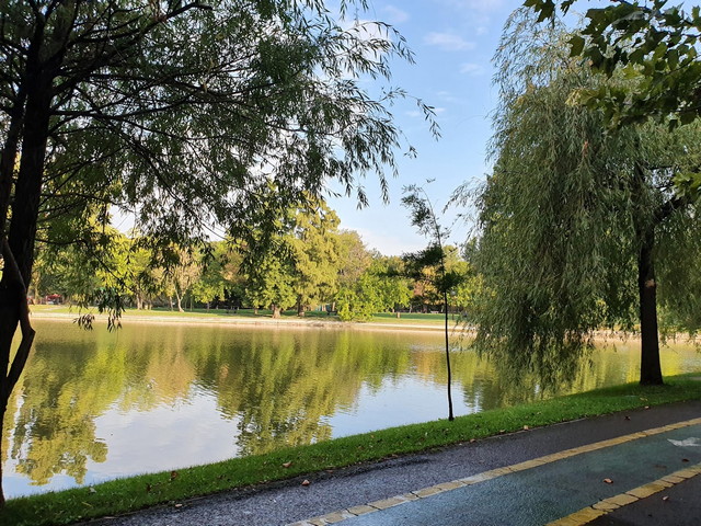 Alexandru Ioan Cuza Park